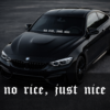 Front Windshield Sticker - No rice, just nice