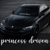 Front Windshield Sticker - Princess driven
