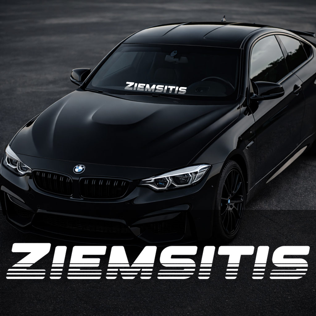 Front Windshield Sticker - Ziemsitis
